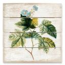 Cuadro de madera Ehret - Rubus - 40x41,5 cm