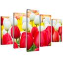 5 stykke lærredstryk Tulipan rød hvid