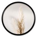 Plakat 1X Studio - Pampas