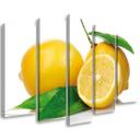 Lærredstryk 5 stykker, frugter citroner