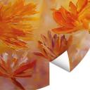 Golden Blossom Rush | Botanik tapetmaleri - Pomata - rund - vliesetapet/selvklæbende non-woven tapet