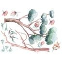Sticker mural Kvilis - Plantes d'Australie (15 pièces)