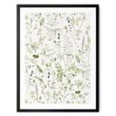 Plakat Urter og vilde blomster - UN Designs