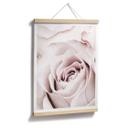 Plakat - 1X Studio - Rose