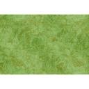 Livingwalls Fototapet Walls by Patel Botanica 2