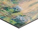 Billede Monet - Monets have i Vétheuil – print på aluminium (Alu-Dibond)