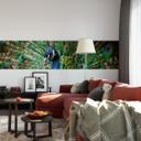 Fototapet Beautiful Peacock - Panorama - 48x260 cm