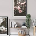 Plakat - Annie - Rose bush
