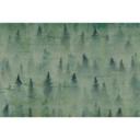 Architects Paper Papier peint photo Atelier 47 Coniferous