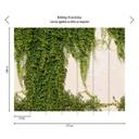 tapet efeu væg grøn creme - non-woven tapet Industrial Livingwalls - mat og glat