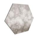 Wanddecoratie paardenbloemen droom in beige - Ms Tiff - Alu-Dibond