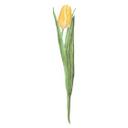 Sticker mural Tulipe jaune 