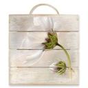 Cuadro de madera Disher - Cosmos - 40x41,5 cm