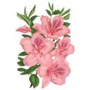 Muursticker Roze Lelie