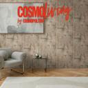 COSMOPOLITAN tapet i betonlook, brungrønt - Ikke-vævet tapet i vintage loftstil