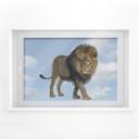 Mural de ventana Real Lion