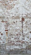 stentapet hvid creme - non-woven tapet botanisk Livingwalls - mat og glat