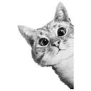 Sneaky Cat Wallsticker - Graves
