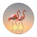 Póster Cseresnjes - Flamencos a la luz del atardecer - Redondo