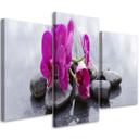 3 stykke lærred print, orkidé blomster sten lilla