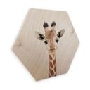 Hexagon Hout Sisi & Seb - Baby Giraffe