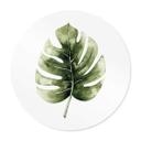 Plakat Kvilis - Monstera Leaf