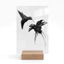 Bordskærm Irland - Chorum - Hummingbird