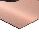 Geborsteld Alu-Dibond met goud-, zilver- & kopereffect - Vlinders in zacht licht - Treechild