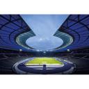 Fototapet Hertha BSC Blue Olympic Stadium
