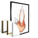 Póster Kvilis - Fox 02