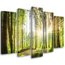 Lærred print 5 styk, skov træer natur