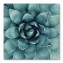 Plateau de table en verre - Agave 02 -Carré