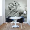 Fototapet Heste i galop - 336x260 cm
