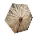 Hexagon Hout Paardenbloem in ochtenddauw - Treechild