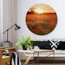 Tableau en Alu-Dibond Champ de coquelicots au coucher du soleil - Rond
