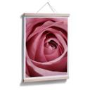 Plakat - Den rosa rose