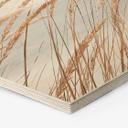 Hexagone - Bois Herbe des dunes