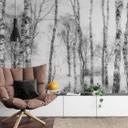 Papier peint photo Talen - Forêt de bouleaux noirs et blancs - 432x260cm