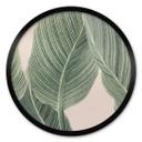 Póster Calathea planta - Sisi & Seb - Redondo