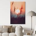 Canvasbillede Græsser i lyset af den glødende sol - Treechild