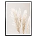 Plakat - 1X Studio - Pampas