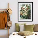 Póster Haeckel - Colibríes