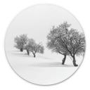 Wandcirkel Carrillo Lopez - White World
