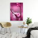 Canvasbillede, Lyserøde blomstrende planter