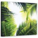 Canvasbillede, palme blade planter