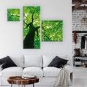 Tableau sur toile Under the Trees (3 parties)