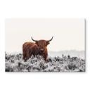 Akrylbillede an den Helm - Highlander