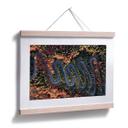 Póster Amer - La vista desde arriba: Curvas en el bosque
