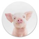 Tableau sur alu-Dibond Sisi & Seb - Porcelet - Rond
