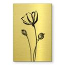 Geborsteld Alu-Dibond met goud-, zilver- & kopereffect - Line Art klaproos - Cats & Dotz